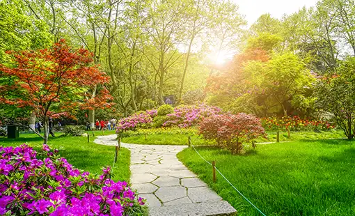 Paradise Navi Mumbai Images